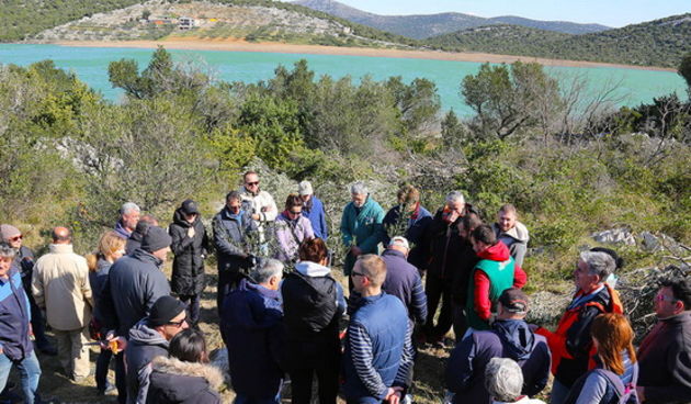 Obnova zapuštenog maslinika u Modravama