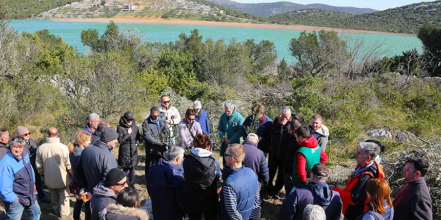 Obnova zapuštenog maslinika u Modravama