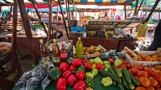 Đir po pijaci, 30. siječnja 2012. (foto:Saša Čuka)