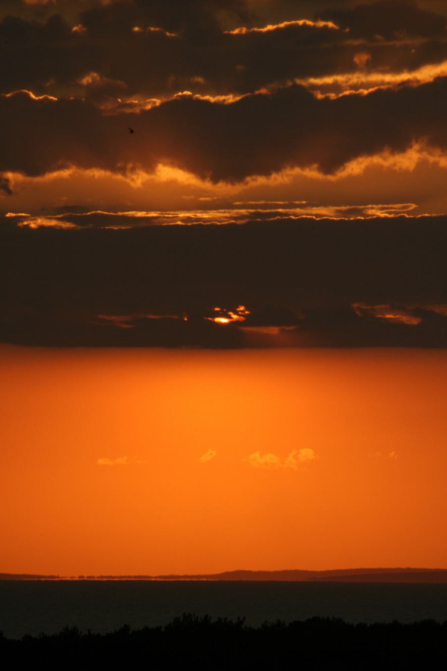 Image 1207453 (auto)