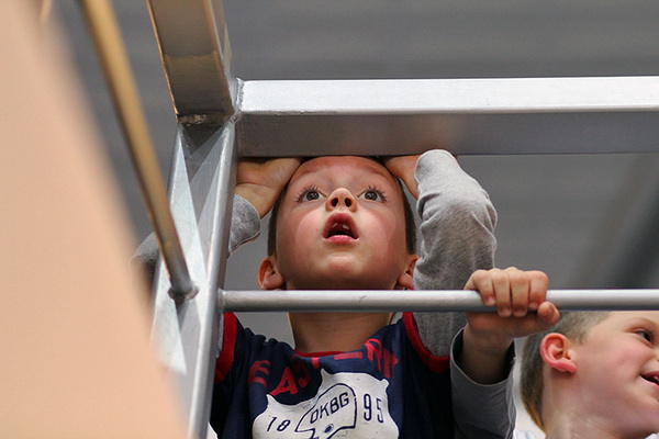 Najbolji navijači na svitu na utakmici Zadar-Cibona, Foto: Mia Čop Najbolji navijači na svitu na utakmici Zadar-Cibona, Foto: Mia Čop