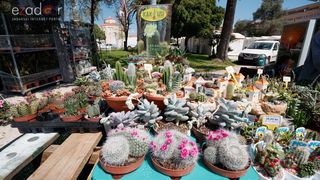 Đir po gradu, četvrtak 19. travnja 2018. Đir po gradu, četvrtak 19. travnja 2018.