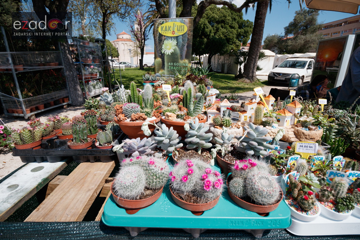 Đir po gradu, četvrtak 19. travnja 2018. Đir po gradu, četvrtak 19. travnja 2018.