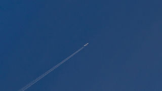 Velebitski divlji konji, Foto: Leo Banić