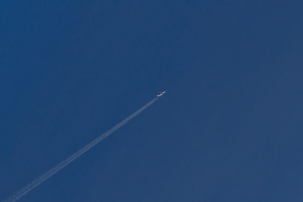 Velebitski divlji konji, Foto: Leo Banić