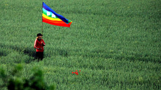 Image 1204281 (auto)