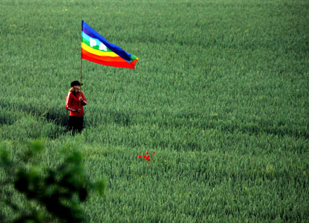 Image 1204281 (auto)