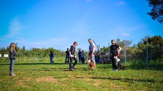 Kinološka udruga Malinois