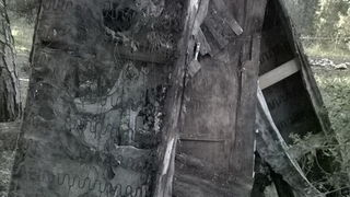 Ovako izgleda Park šuma Musapstan nakon akcije “Zelena čistka” Ovako izgleda Park šuma Musapstan nakon akcije “Zelena čistka”