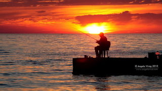 Diklo: umjetnicke fotografije   foto: Angelo Virag