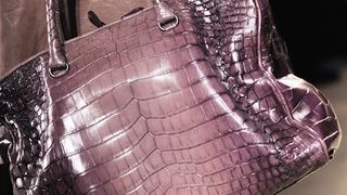 Torbe za jesen/zimu 2009./10.