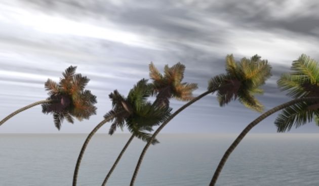 Vjetar (Foto: exponent.com)