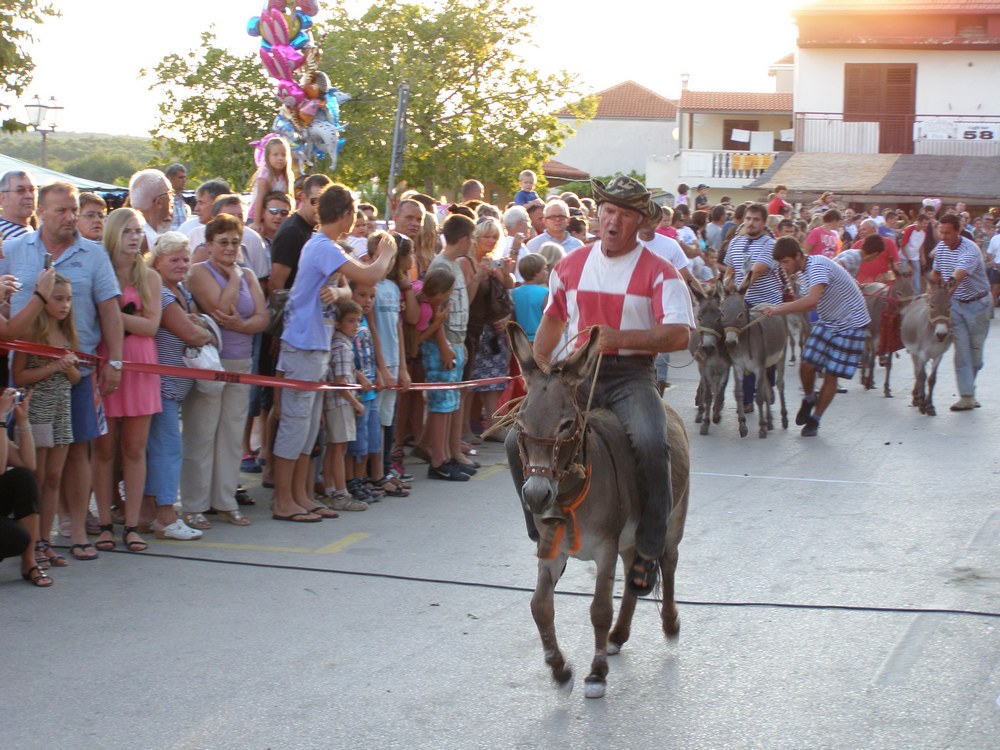 Utrka magaraca u Posedarju, Foto: Josip Prskalo Utrka magaraca u Posedarju, Foto: Josip Prskalo