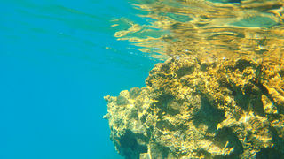 OLYMPUS DIGITAL CAMERA OLYMPUS DIGITAL CAMERA