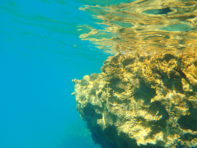 OLYMPUS DIGITAL CAMERA OLYMPUS DIGITAL CAMERA