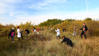 Na Vranskom jezeru održana akcija krčenja vegetacije Na Vranskom jezeru održana akcija krčenja vegetacije