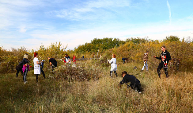 Na Vranskom jezeru održana akcija krčenja vegetacije