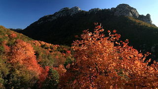 Paklenica: Boje jeseni, Foto: Mladen Radolovic Mrlja