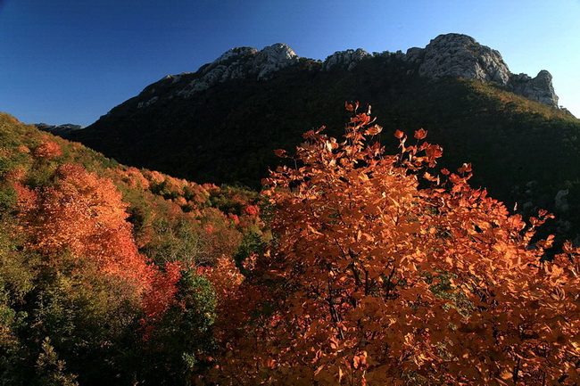 Paklenica: Boje jeseni, Foto: Mladen Radolovic Mrlja