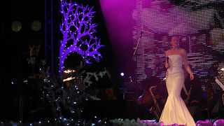 Zvjezdani Božić u Zadru (foto: Saša Čuka)