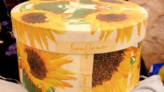 Festival amaterske kulture i kreativnosti Festival amaterske kulture i kreativnosti