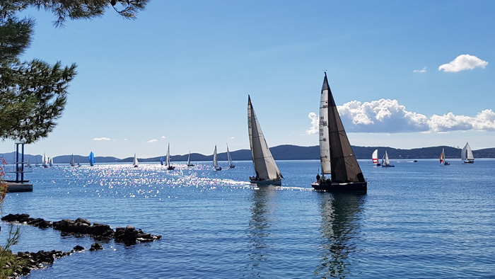Zadarska Koka 2016. 22. listopada 2016. Foto: Mladen Malik Zadarska Koka 2016. 22. listopada 2016. Foto: Mladen Malik
