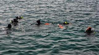 Akcija čišćenja mora i okoliša “Zdrav za 5”, Foto: Roberto Lerga