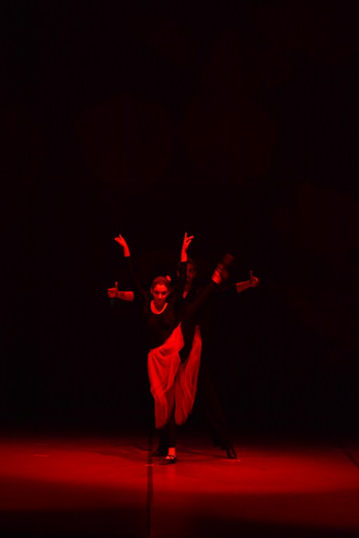 “Baletna raspodija” u HNK Zadar, udruga Pirueta