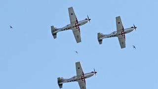 Šibenik: Akrobacijska grupa Krila oluje nakon 8 godina nastupila na Dječjem festivalu, Photo: Dusko Jaramaz/PIXSELL