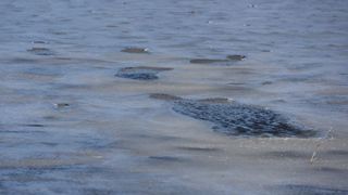 Zaledilo more kod Karina