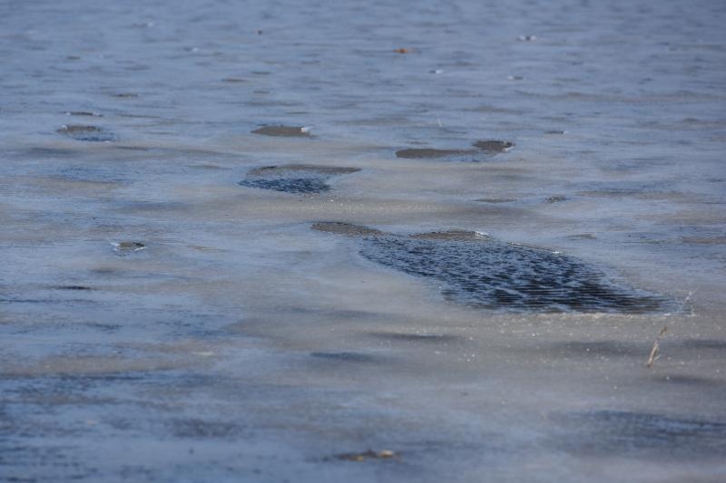 Zaledilo more kod Karina