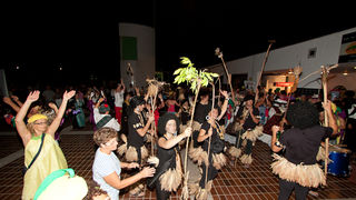 Ljetni karneval 2011. u Biogradu na Moru, Foto. Franjo Jurić