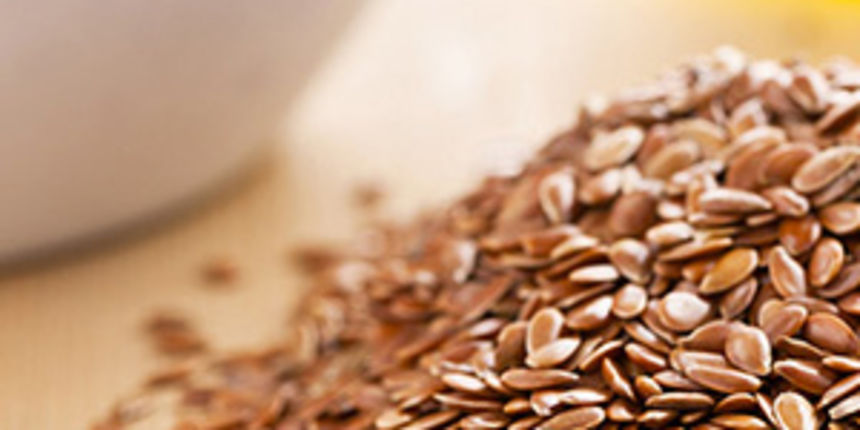 Sjemenke lana, foto: portal Alternativa za vas Sjemenke lana, foto: portal Alternativa za vas