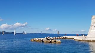 Zadarska Koka 2016. 22. listopada 2016. Foto: Mladen Malik Zadarska Koka 2016. 22. listopada 2016. Foto: Mladen Malik