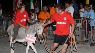 Tisno: 6. Međunarona “Trka tovarov”, Foto: Edin Kadić Tisno: 6. Međunarona “Trka tovarov”, Foto: Edin Kadić