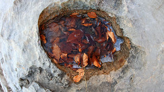 Uspon na Bojin Kuk i pogled na Italiju, Foto: Leo Banić Uspon na Bojin Kuk i pogled na Italiju, Foto: Leo Banić