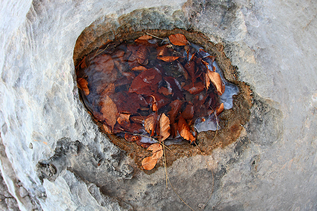 Uspon na Bojin Kuk i pogled na Italiju, Foto: Leo Banić Uspon na Bojin Kuk i pogled na Italiju, Foto: Leo Banić