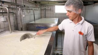 Paški sir sirane Gligora osvojio titulu najboljeg sira na svijetu, Photo: Dino Stanin/PIXSELL Paški sir sirane Gligora osvojio titulu najboljeg sira na svijetu, Photo: Dino Stanin/PIXSELL