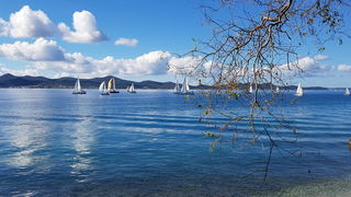 Zadarska Koka 2016. 22. listopada 2016. Foto: Mladen Malik Zadarska Koka 2016. 22. listopada 2016. Foto: Mladen Malik