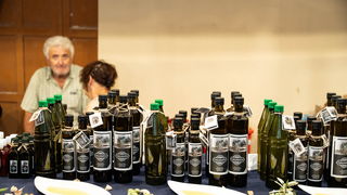 Naši stari običaji 2024. @ Privlaka