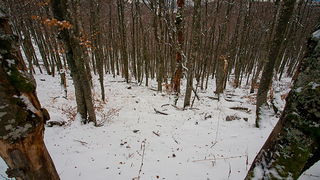 Đir do vrha Zečjak na sjevernom Velebitu, Foto: Leo Banić