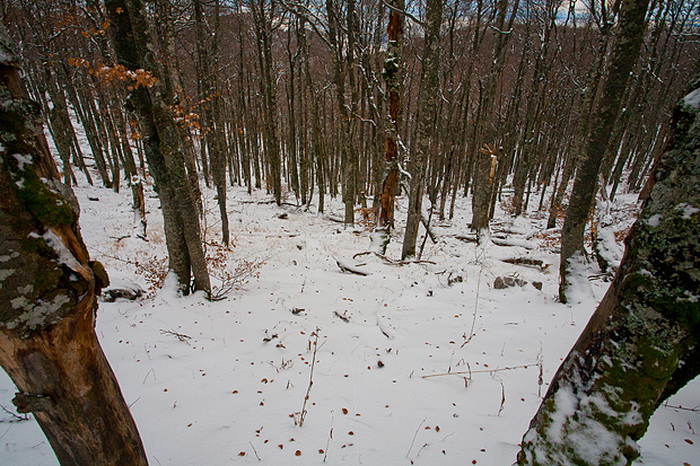 Đir do vrha Zečjak na sjevernom Velebitu, Foto: Leo Banić