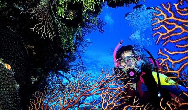 Sportski ribolov (Foto:trogirdivingcenter.com)