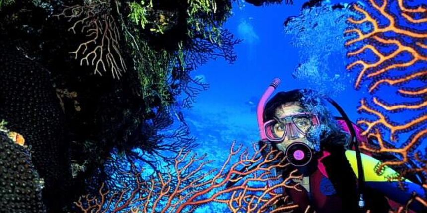 Sportski ribolov (Foto:trogirdivingcenter.com) Sportski ribolov (Foto:trogirdivingcenter.com)