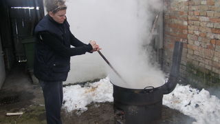 Svinjokolja u Bošnjacima (Foto: Josip Prskalo) Svinjokolja u Bošnjacima (Foto: Josip Prskalo)