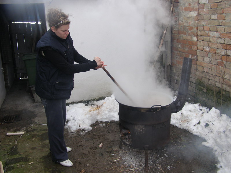 Svinjokolja u Bošnjacima (Foto: Josip Prskalo) Svinjokolja u Bošnjacima (Foto: Josip Prskalo)
