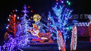 Dva milijuna lampica za božićnu čaroliju na imanju Salaj