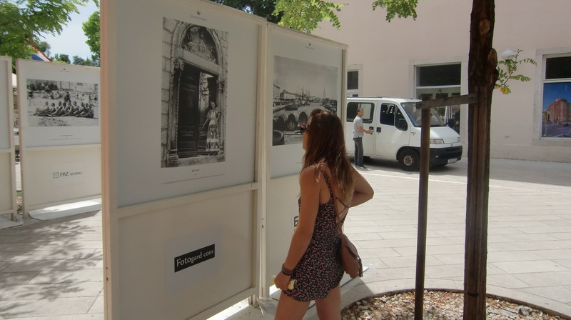 Otvorena izložba “Prijatelji mora”