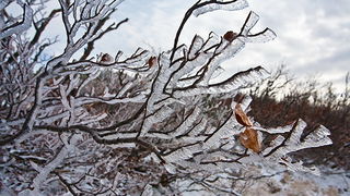 Đir do vrha Zečjak na sjevernom Velebitu, Foto: Leo Banić