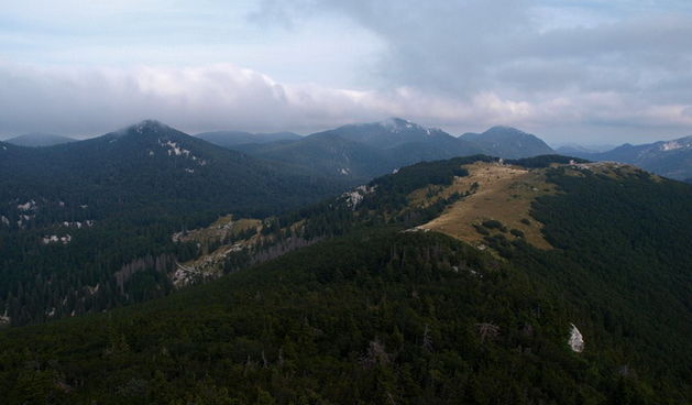 Nedjelja na Zavizanu